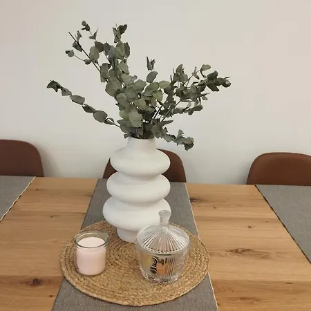 Casa Anton מוחיה